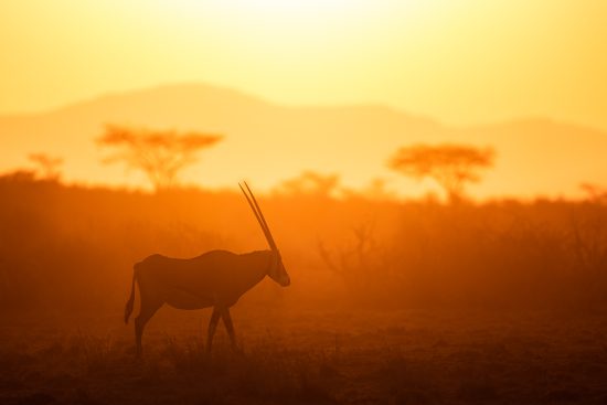 68/ safari itinérant au Botswana : le meilleur du Kalahari