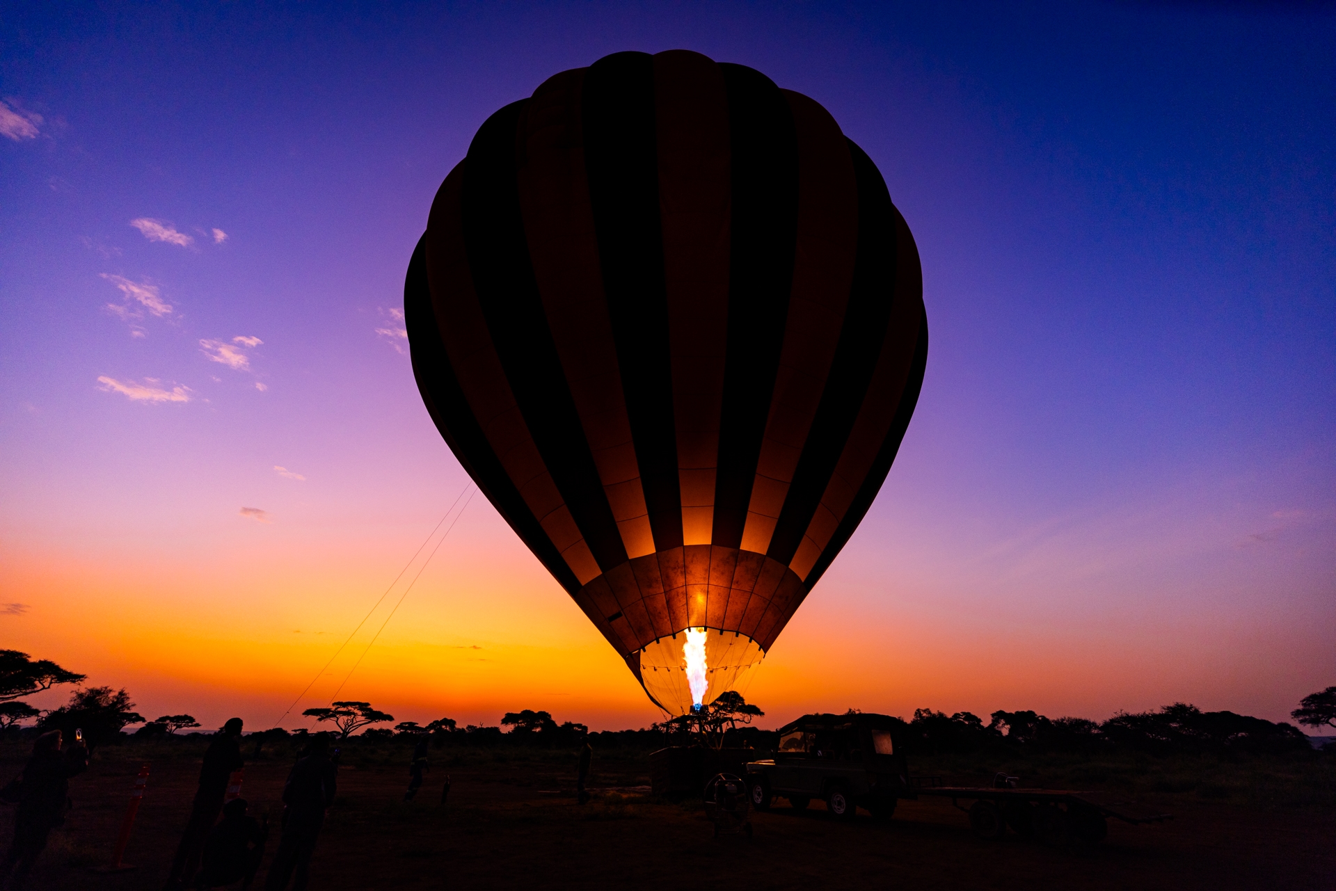 Un léopard marche dans la savane de samburu, Kenya - A leopard walks in the samburu savannah, Kenya / Panthera pardus