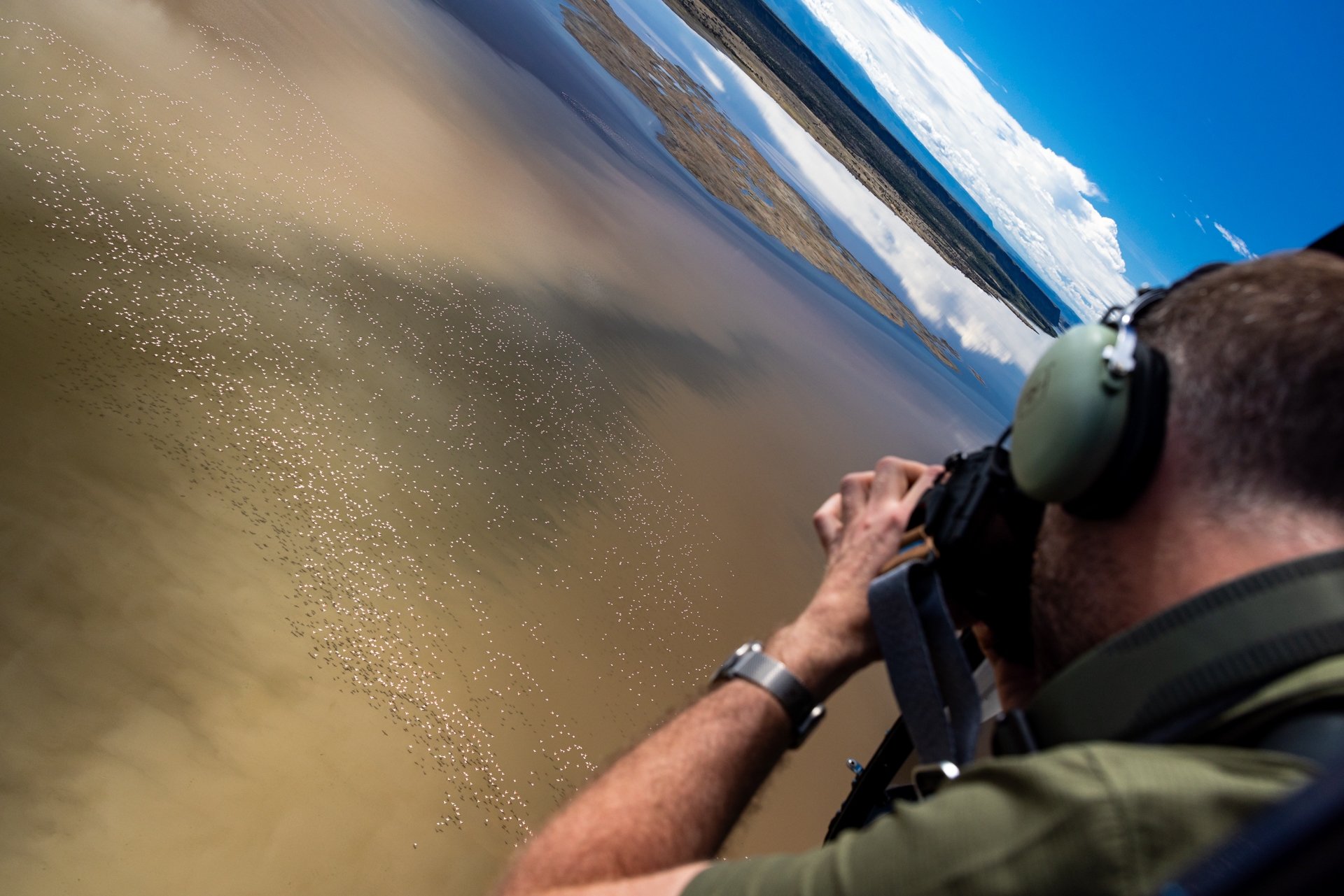 Portrait d'une lionne de tsavo est, Kenya - Portrait of a lioness from tsavo east, Kenya / Panthera leo