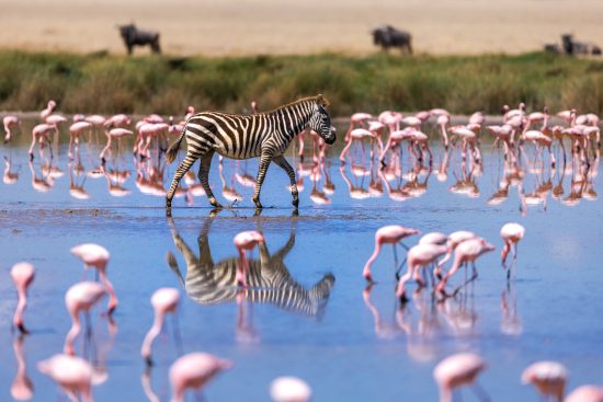 35/ circuit en groupe au kenya : les trésors de la vallée du grand rift avec Olivier