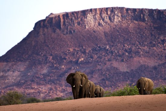 62/ les incontournables de la namibie : du parc d’etosha au désert du namib