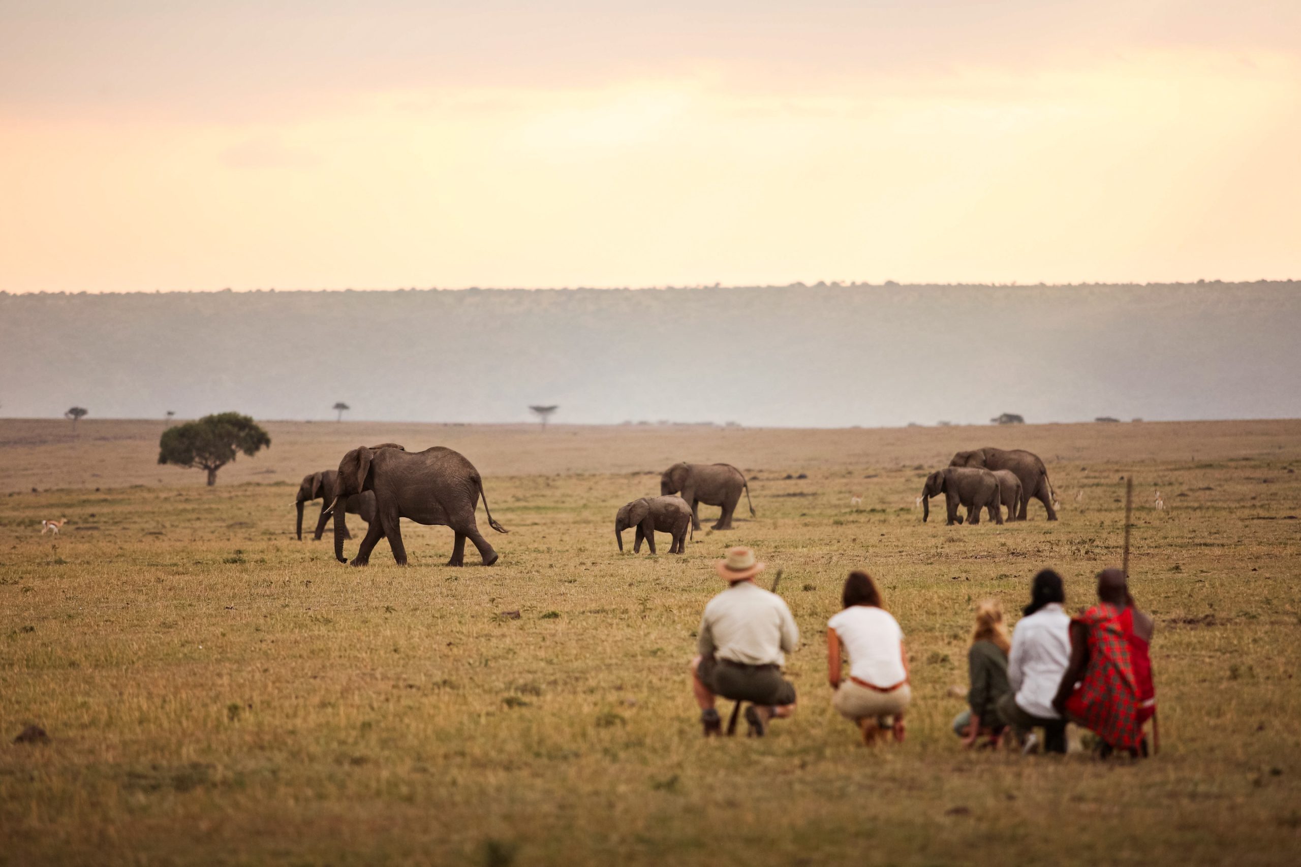 Espace salon au Elewana Elephant Pepper Camp