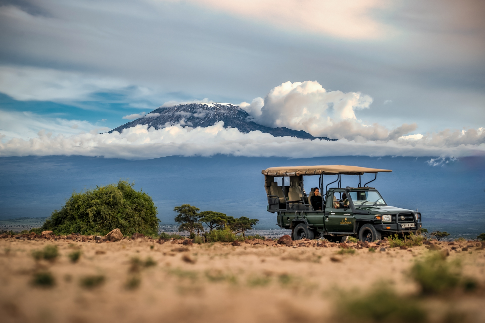 Personnes durant une session de safari dans leur véhicule au milieu du bush avec en fond le Kilimandjaro.
