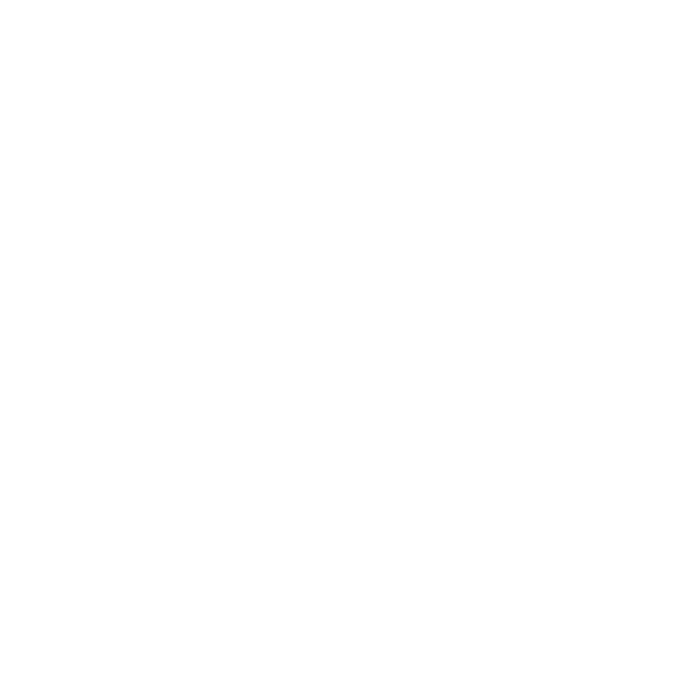 Logo Destination Sauvage