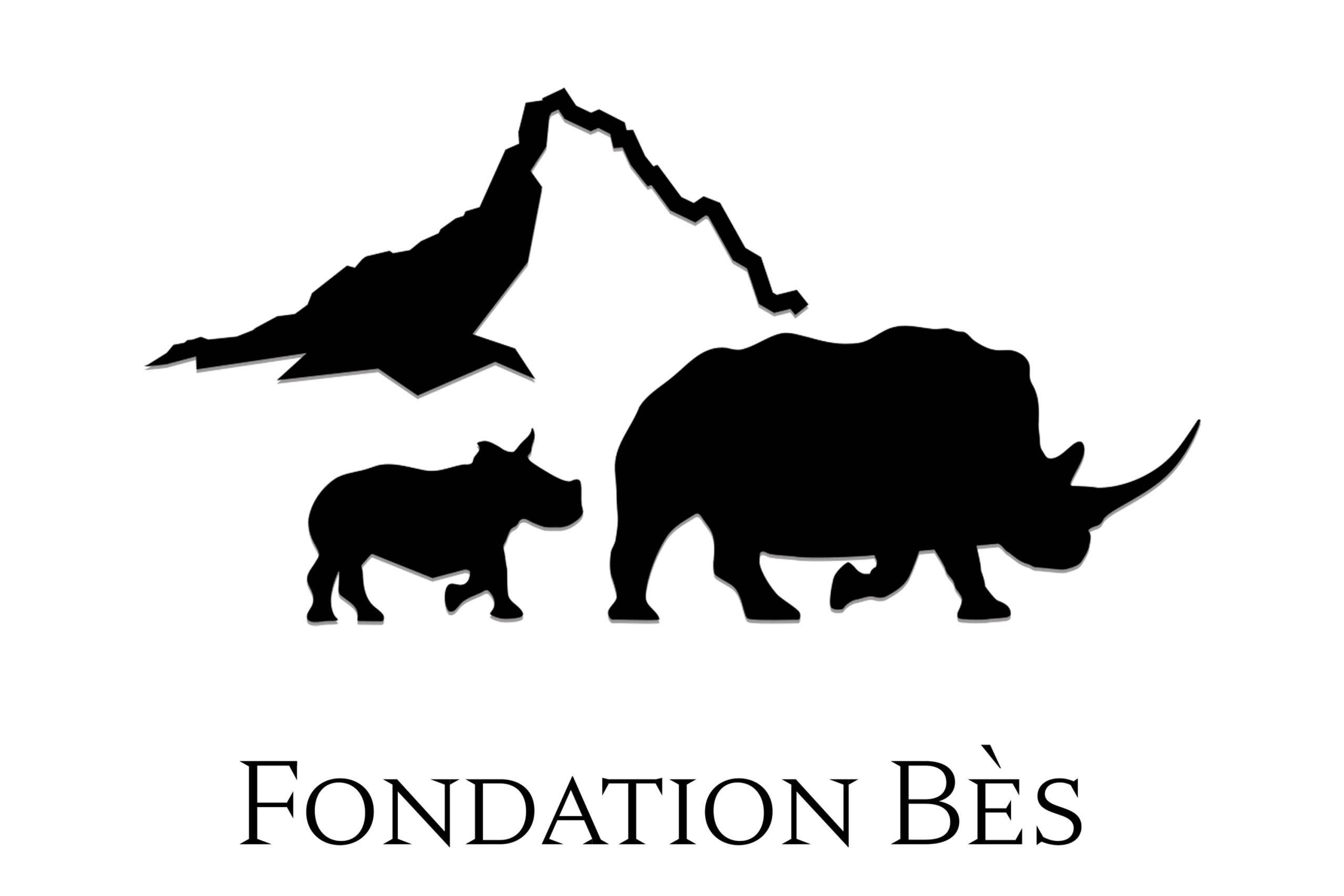 Logo Fondation Bès